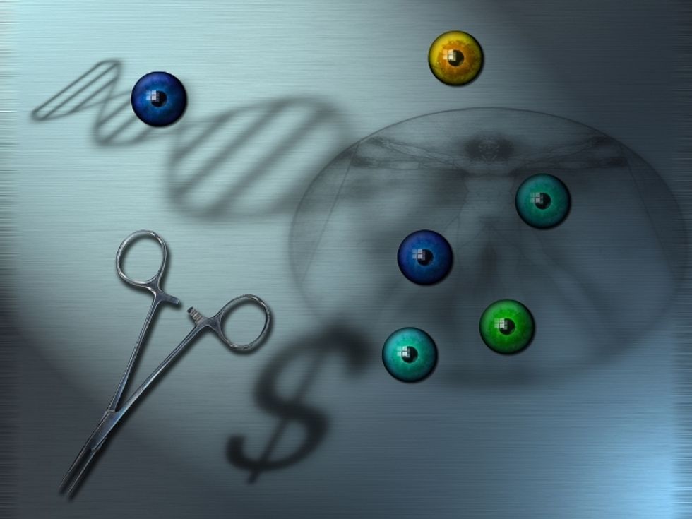 Economics, Immigration, and Eugenics