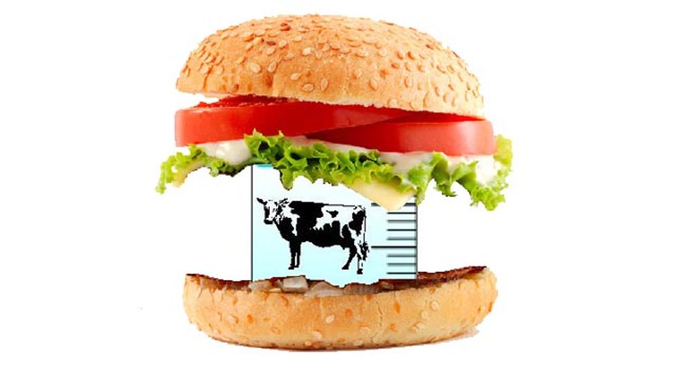 Frankenmeat: Growing a Burger in a Petri Dish