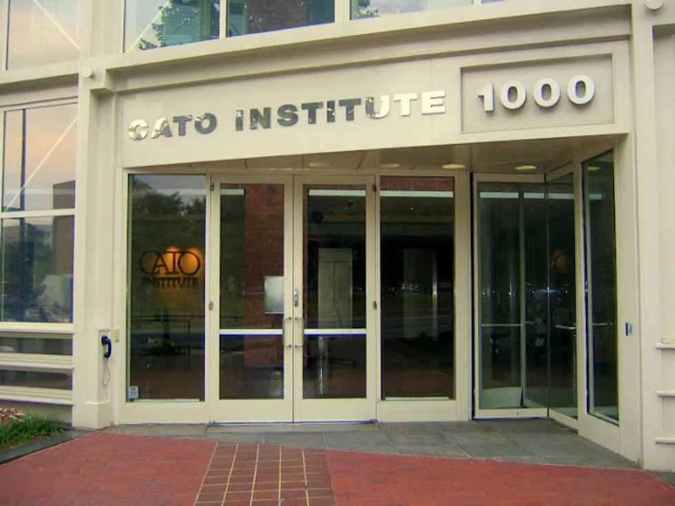 Cato and the Kochs