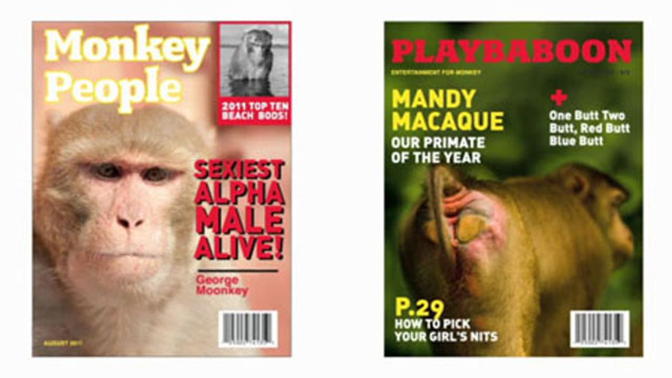 Primate Vices: What Monkey Pornography and Celebrity Worship Tells Us About Human Nature