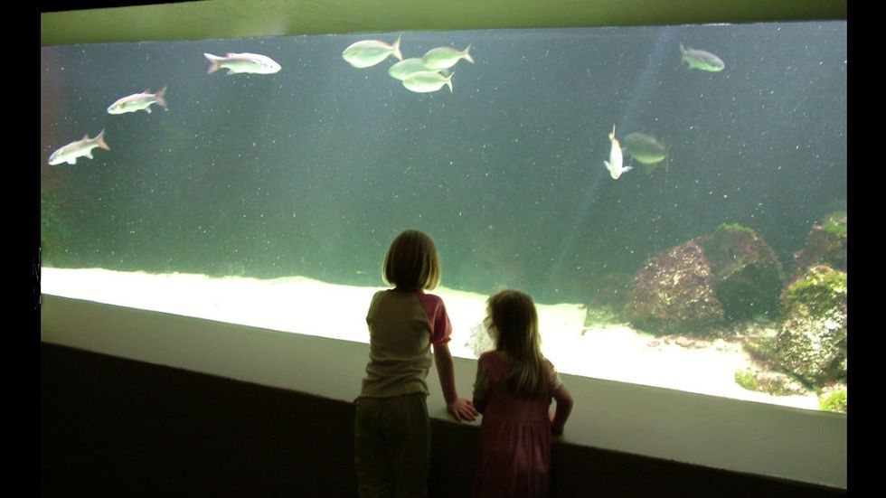 When Does Learning Begin?
