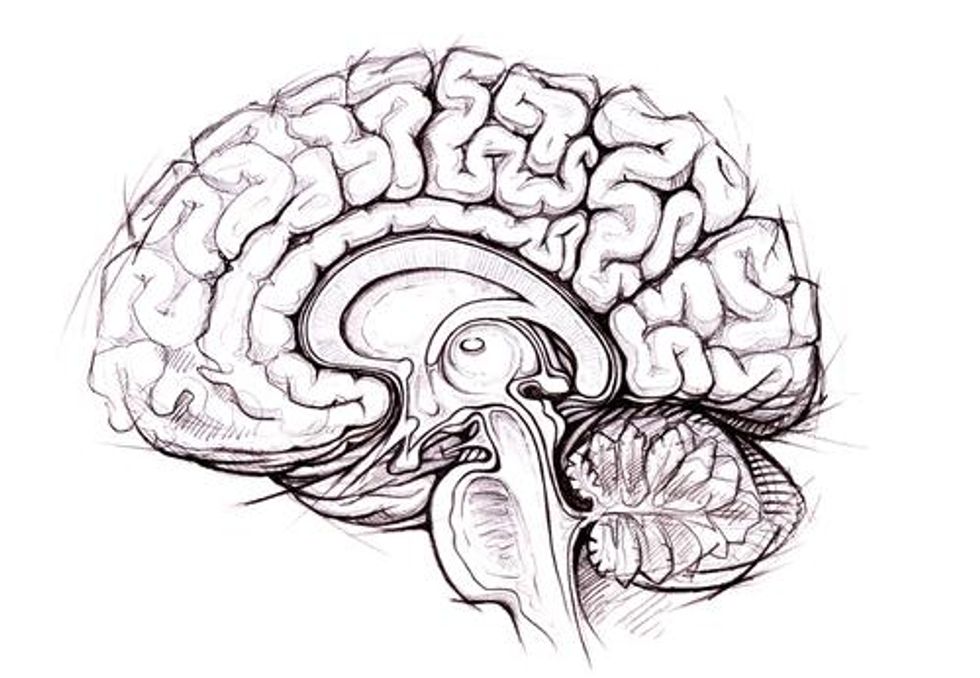 A Wandering Mind Is an Intelligent Mind