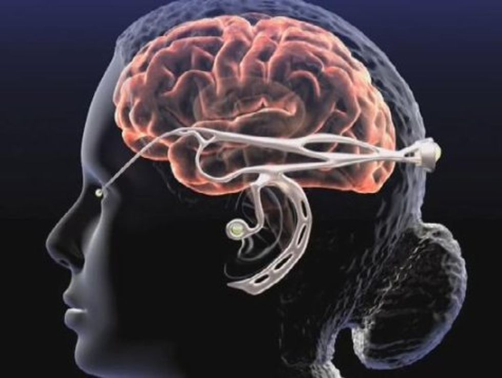 Neurotechnology, Social Control and Revolution