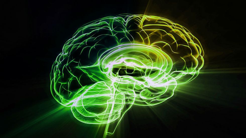 The Neuroscience of Creativity