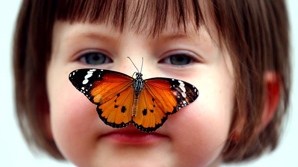 Is Empathy Hardwired in the Brain or Do We Learn It through Experience?