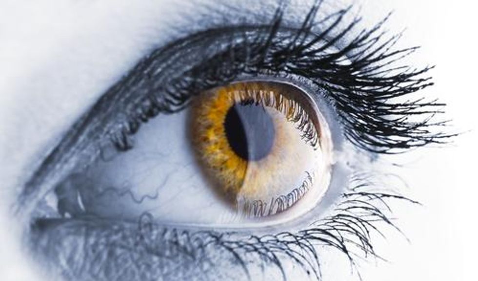 Microchip Implant Restores Vision to the Blind Big Think