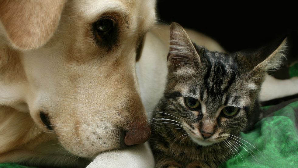 Why Tolerance Is Not a Virtue