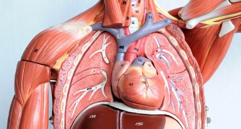 Can Medicine Overcome Biological Limits on Longevity?