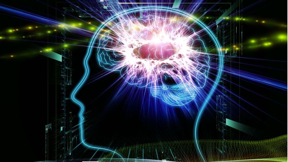Power Up Your Brain: Myth vs. Reality