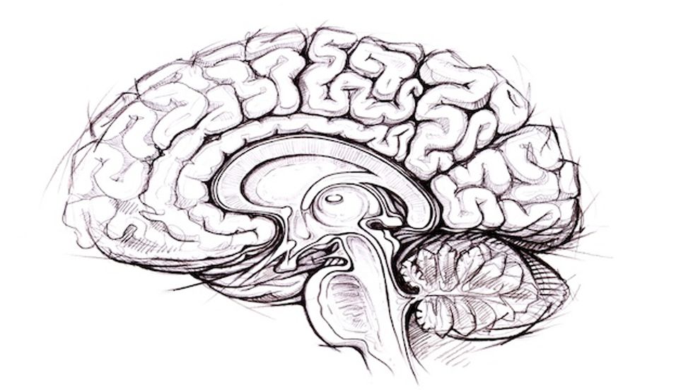 Why The Future of Neuroscience Will Be Emotionless
