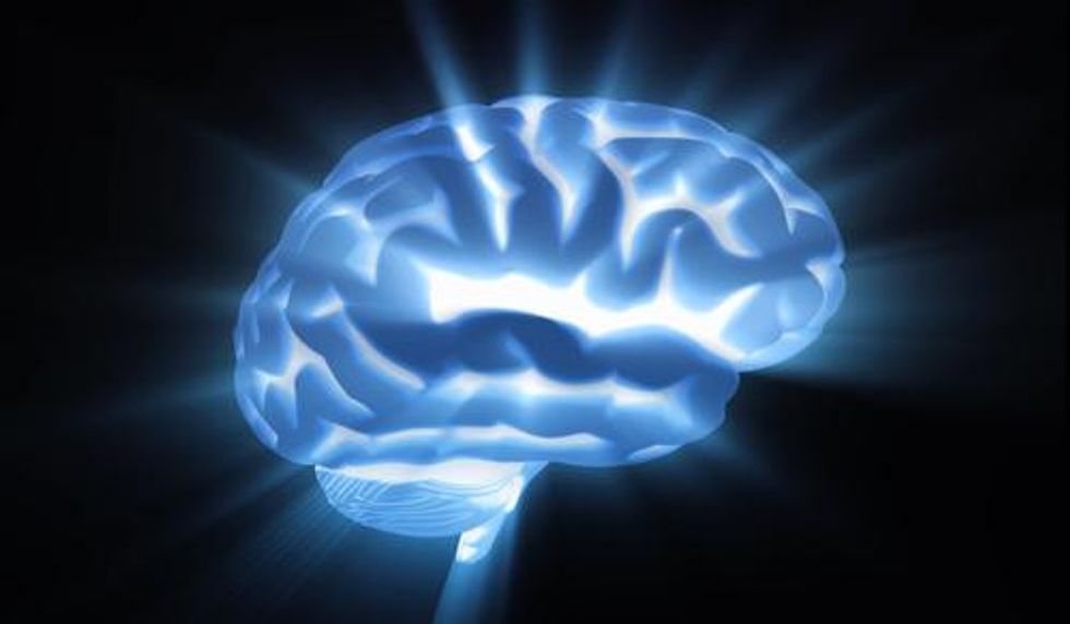 How the Brain Allows for Free Will