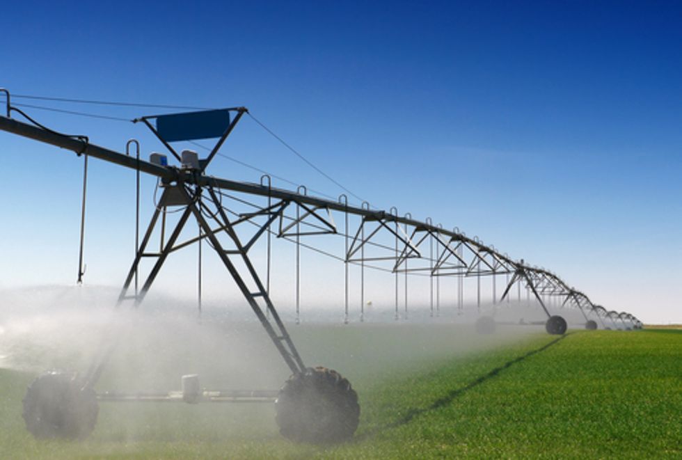 A Vegetarian World by 2050?