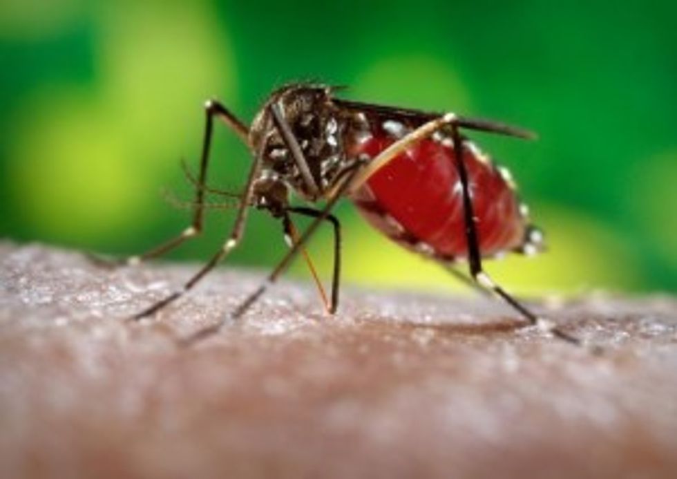 NPR News on Framing Global Warming as a Public Health Threat