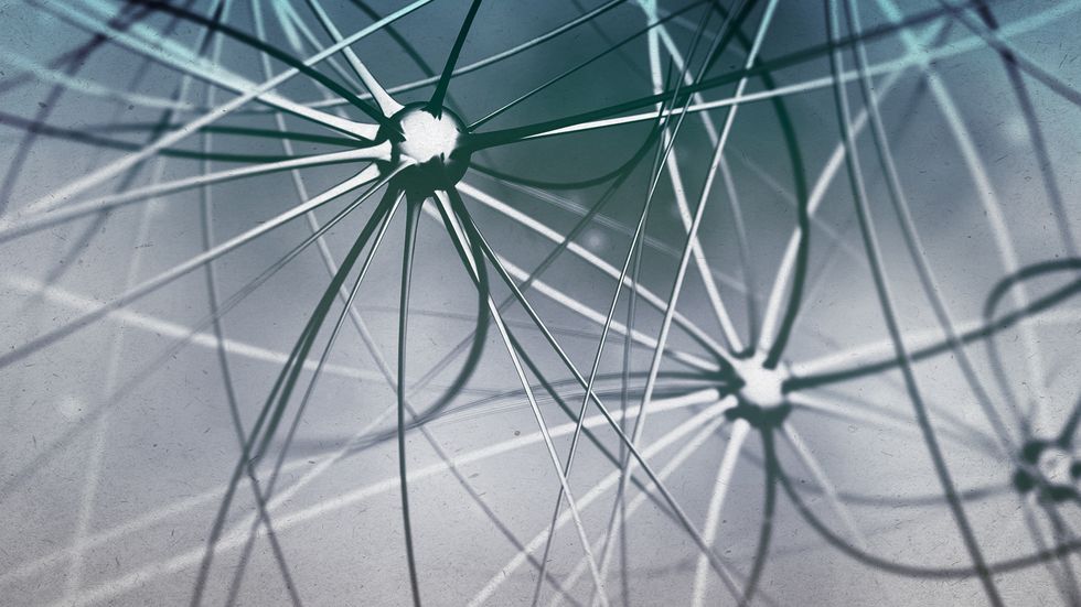 Neuroplasticity: You can teach an old brain new tricks