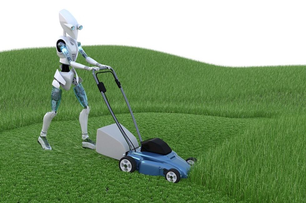 Selling Lawnmower Robots To The Public Big Think