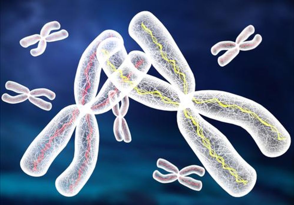 Scientists Remove Extra Chromosome From Down Syndrome Line