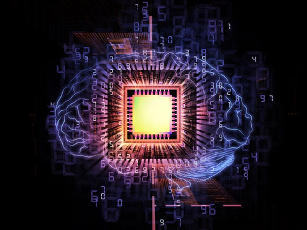 The Most Amazing Race: Reverse-Engineering the Brain