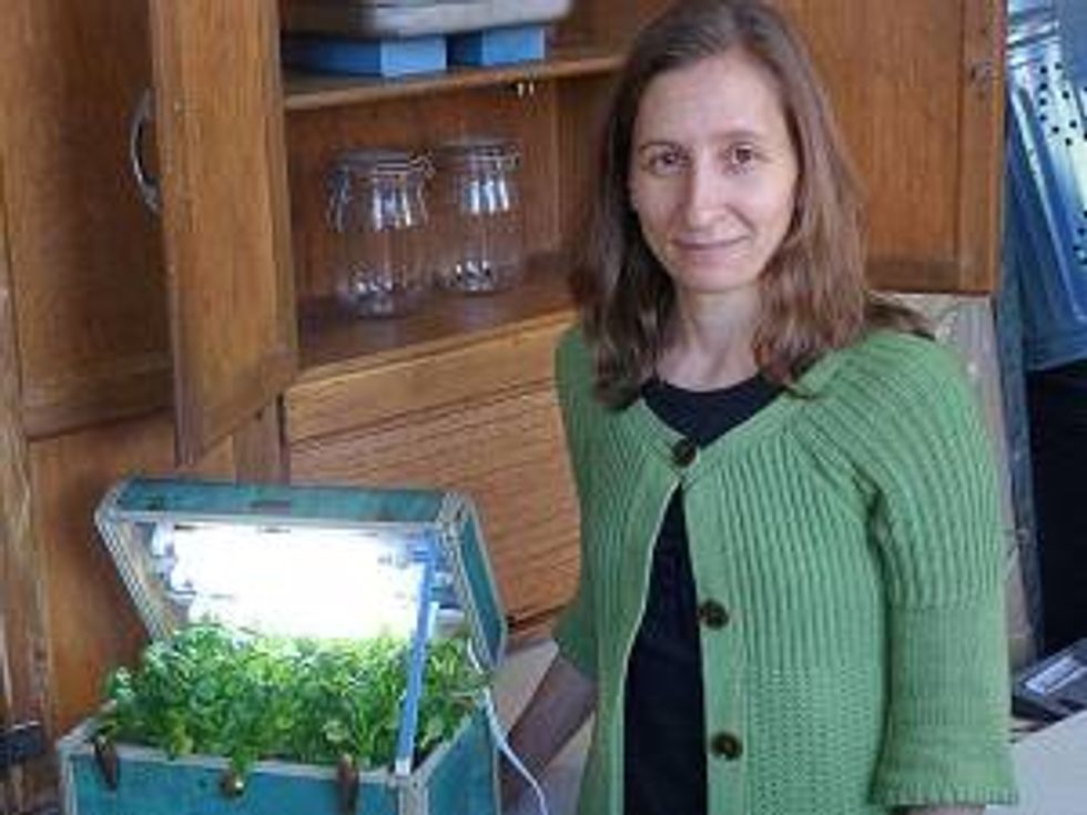 The Organic Return Home: The New Trend in Feminism? The Newest Trend in Conservatism?