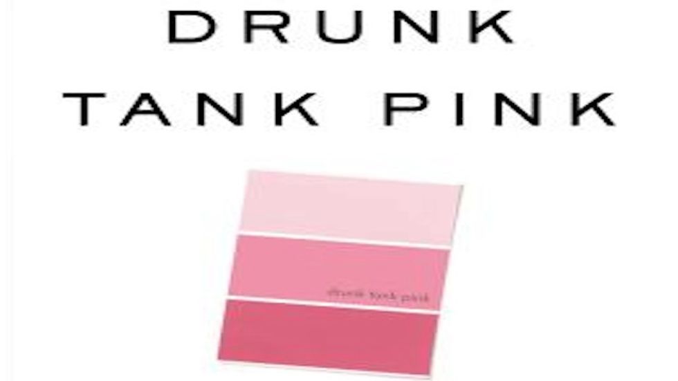 Drunk Tank Pink: A Q&A With Adam Alter