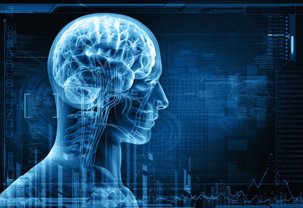 Attention Ray Kurzweil: We Can't Even Build an Artificial Worm Brain
