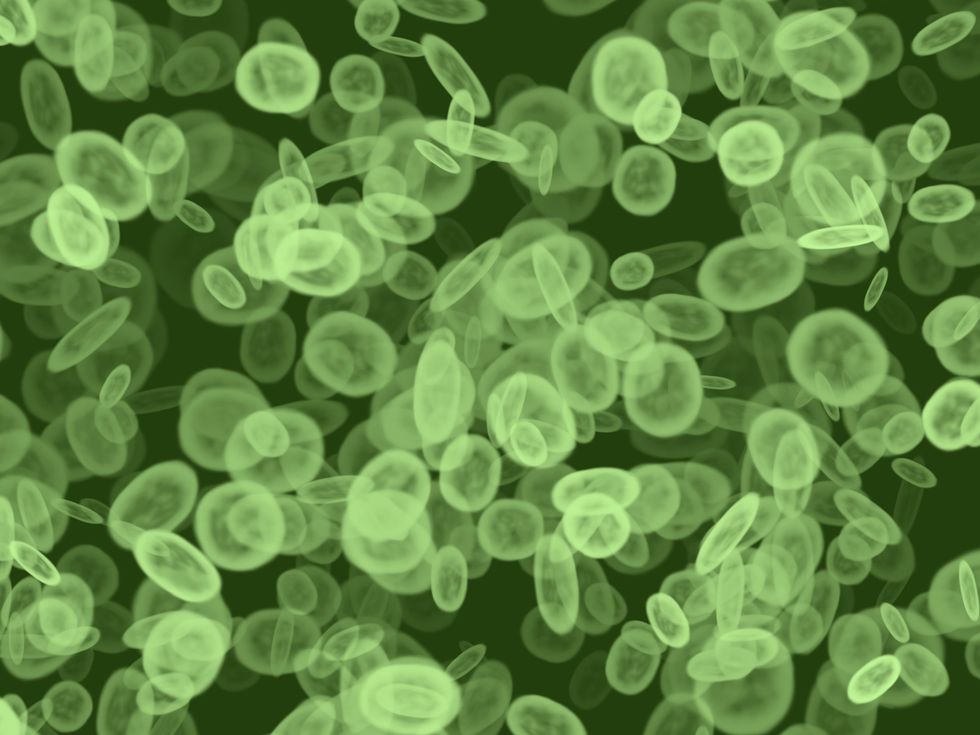 Using Nanotechnology to Fight Bacteria - Big Think
