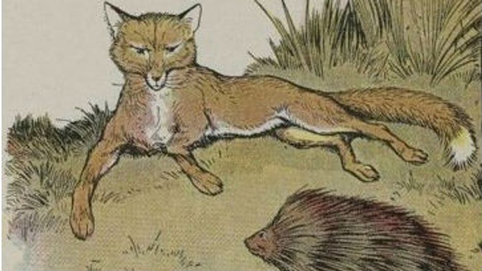 Your social life: Are you a fox or a hedgehog?