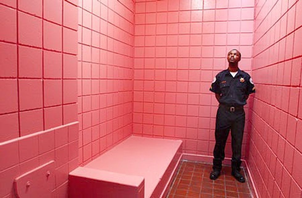 Pretty in Pink: How Our Environment Shapes How We Think