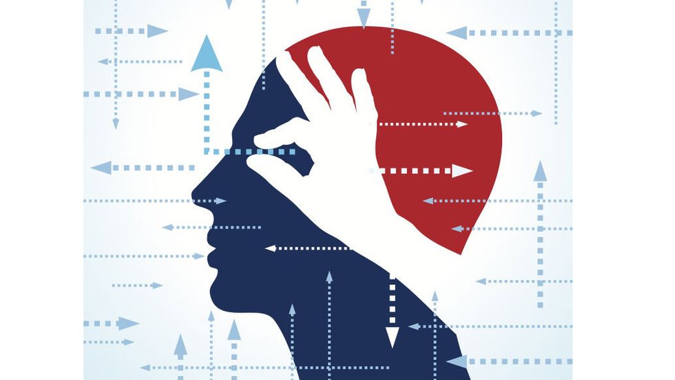Brain Puzzle: What is Perception?