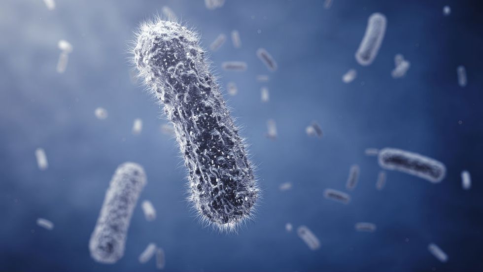 Let's Talk Some Crap. Breaking the Bacteria Taboo.