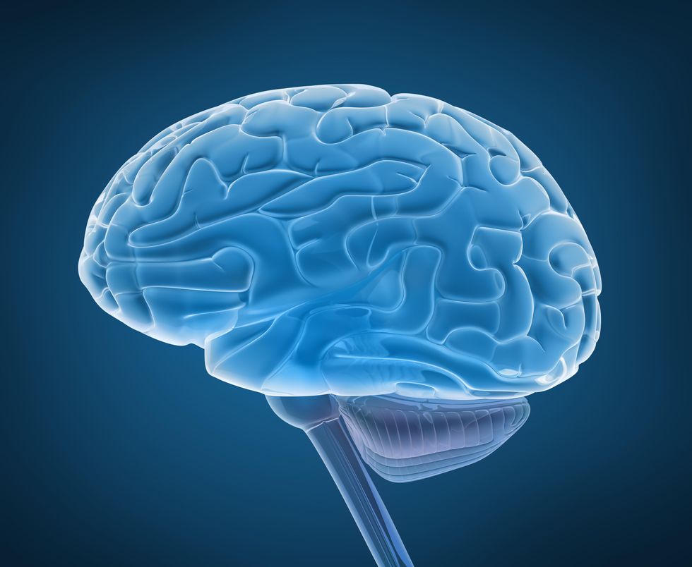 To Treat Brain Disorders, Researchers BloodBrain Barrier