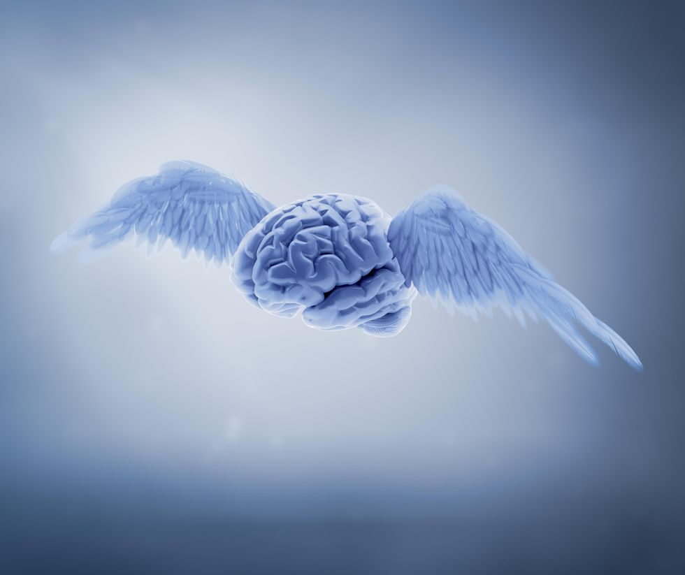 Will Neuroscience Conquer Art?