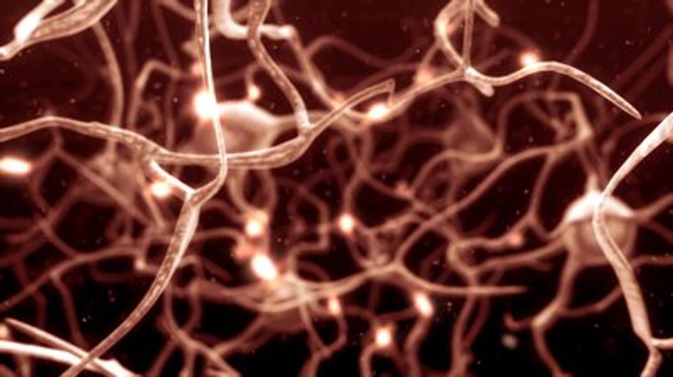 It’s Time to Sail the Inner Cosmos of the Brain - Big Think