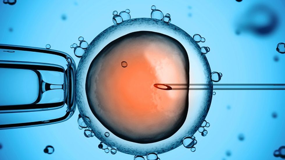 Making Embryonic Stem Cells From Human Skin Cells