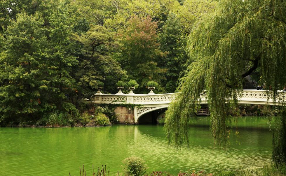 Green Spaces Help You Live Longer