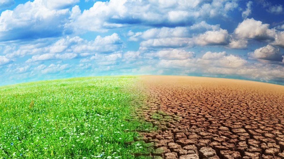 Earth Is Getting Greener, Thanks To CO2 Emissions