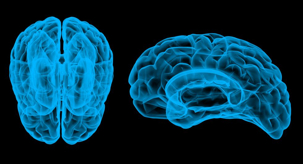 Is the Brain Hardwired for Criminal Behavior?