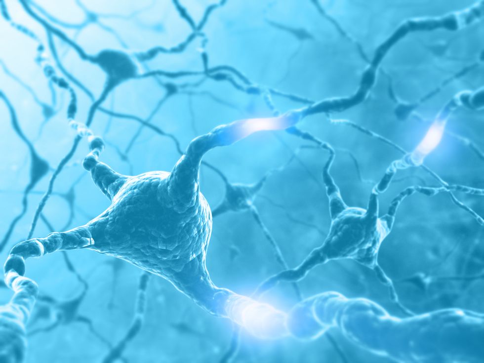 Scientists Prove New Neurons Grow in Adult Brains