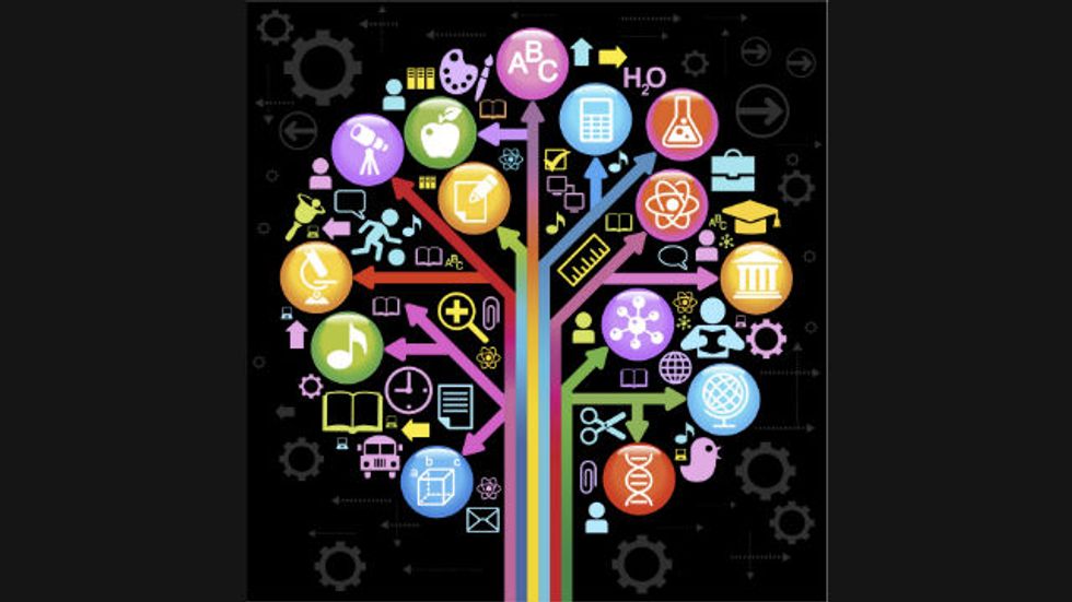 10 Practical Insights to Improve Your Learning Culture