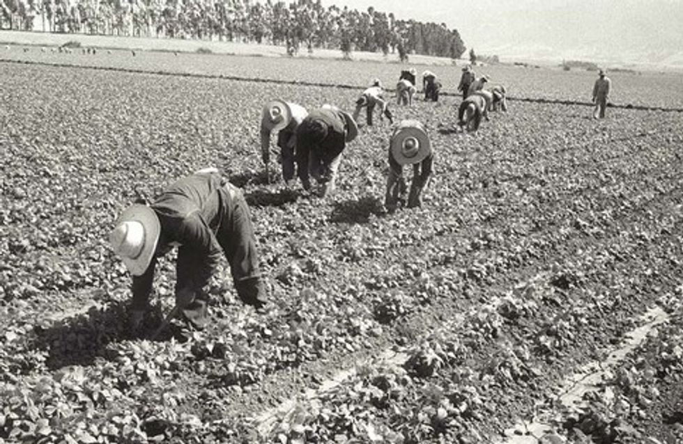 Immigrants Are the Powerhouse to the American Economy