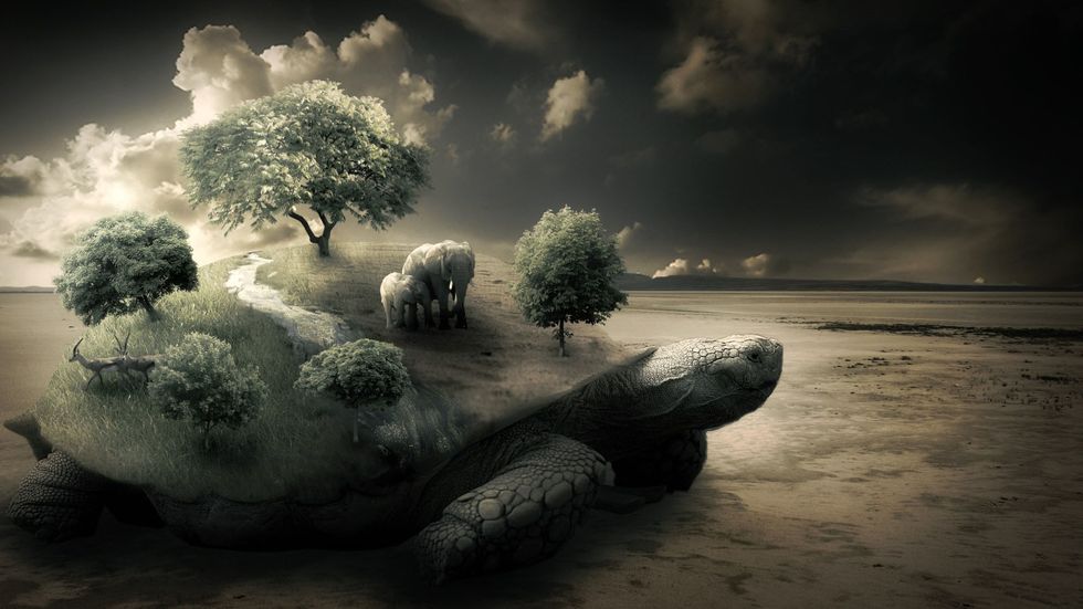 The Common Belief Fallacy