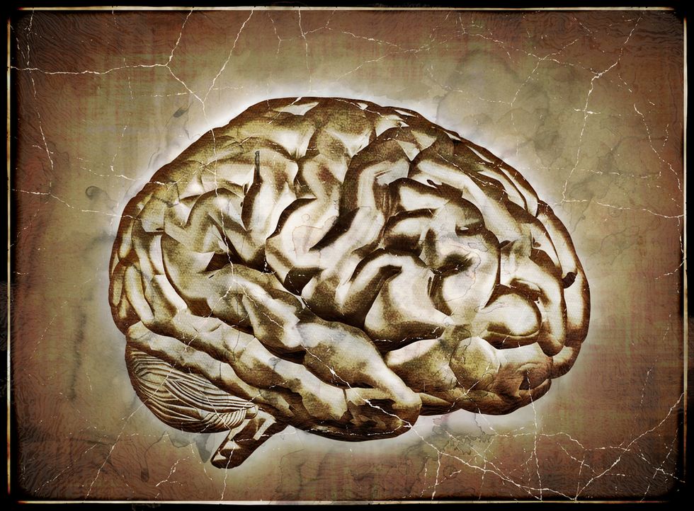 The New Horizon of Neuroscience