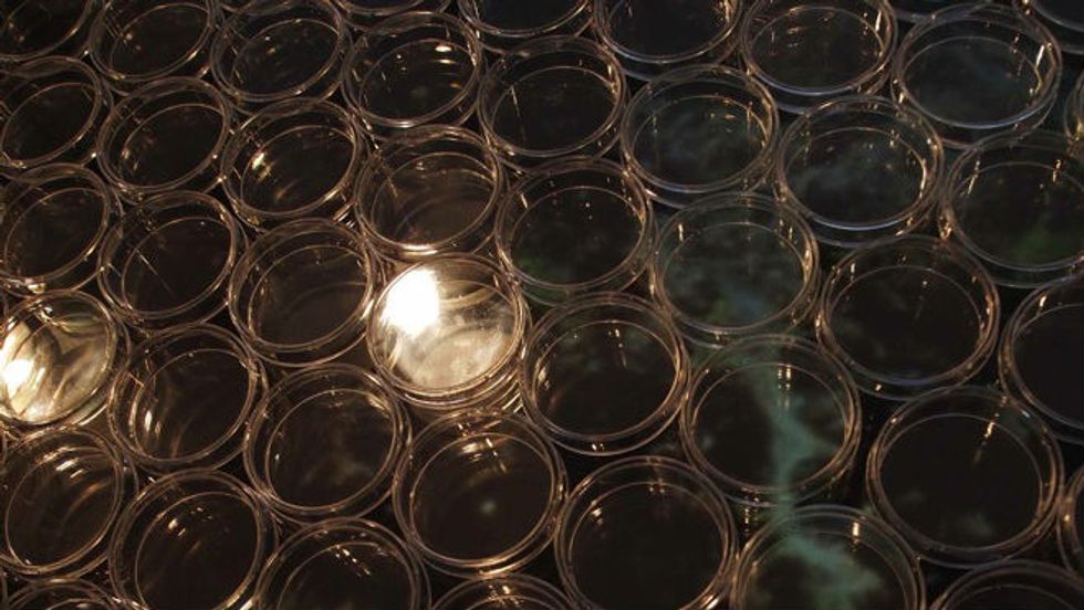 Why I Founded the Microbial Academy of Sciences