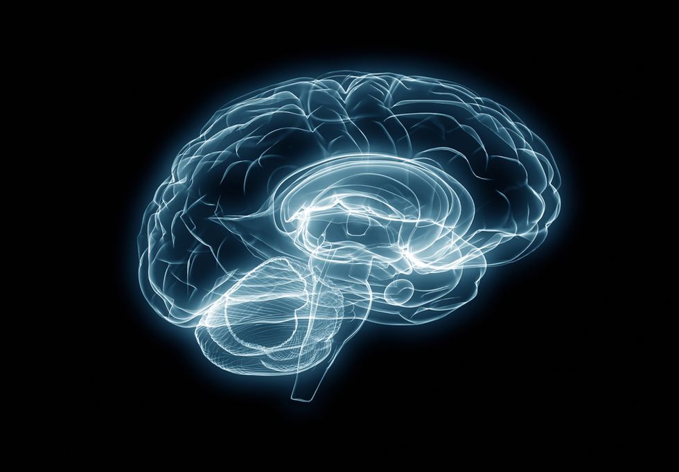 The Surprising Neurobiology of the Parental Brain