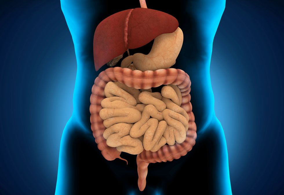 Human Gut Microbes Represent a Wealth of New Drugs