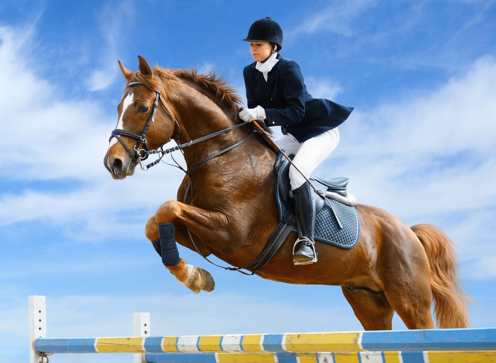 In Life, Ride the Path, Not the Jumps