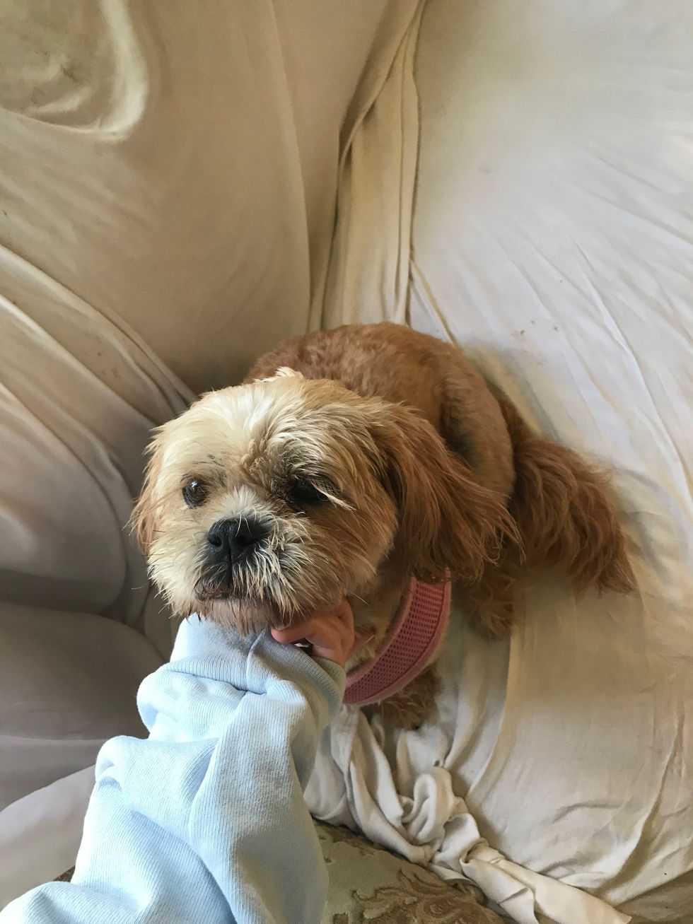 Kiki