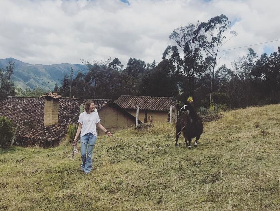 My First Few Weeks In Ecuador