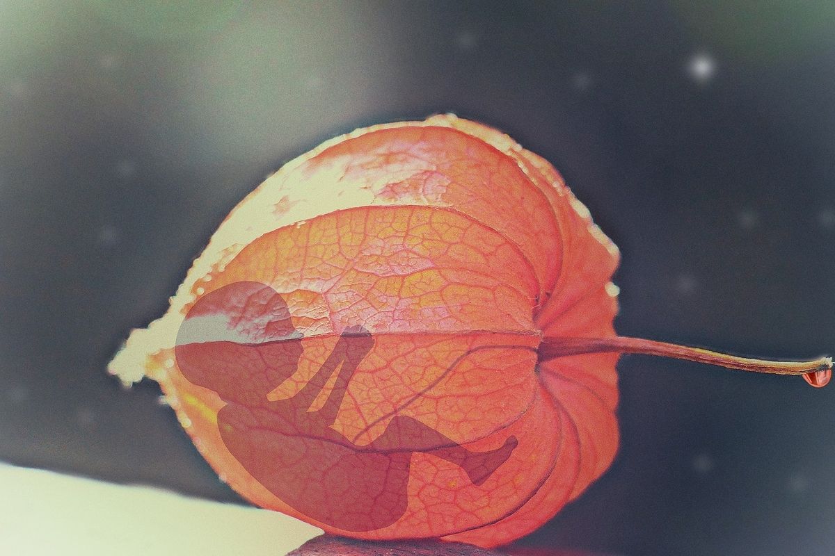 Gli embrioni orfani condannati a morte