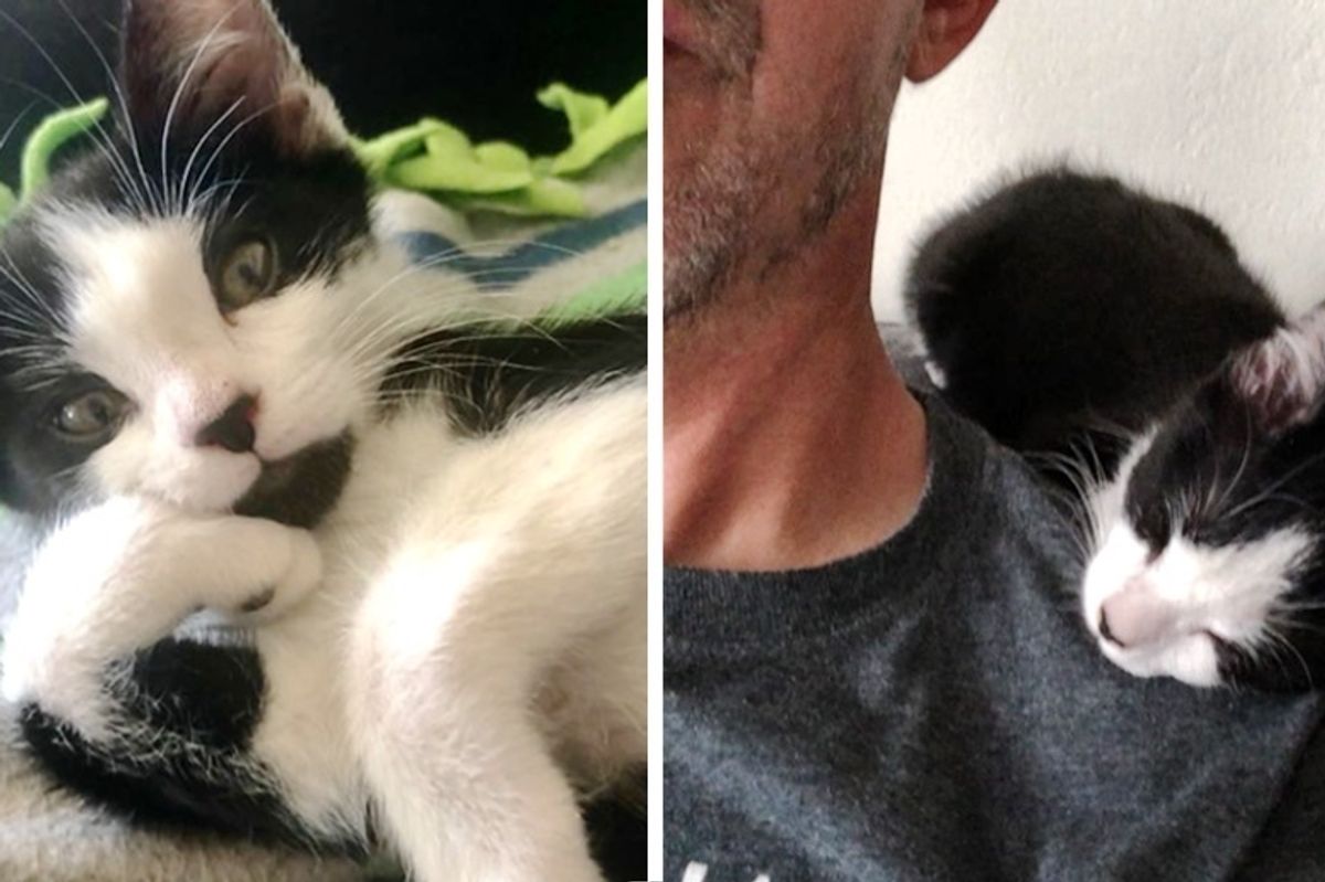 Wobbly Kitten Who Couldn’t Even Stand Up, Amazes His Foster Dad When He Learns to Run