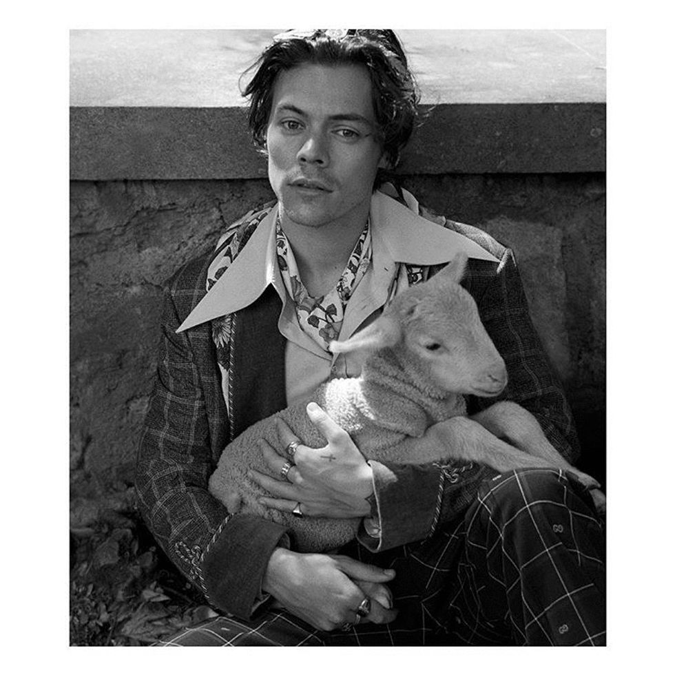 mager status Hollow Harry Styles' New Gucci Campaign Is Everything We Need